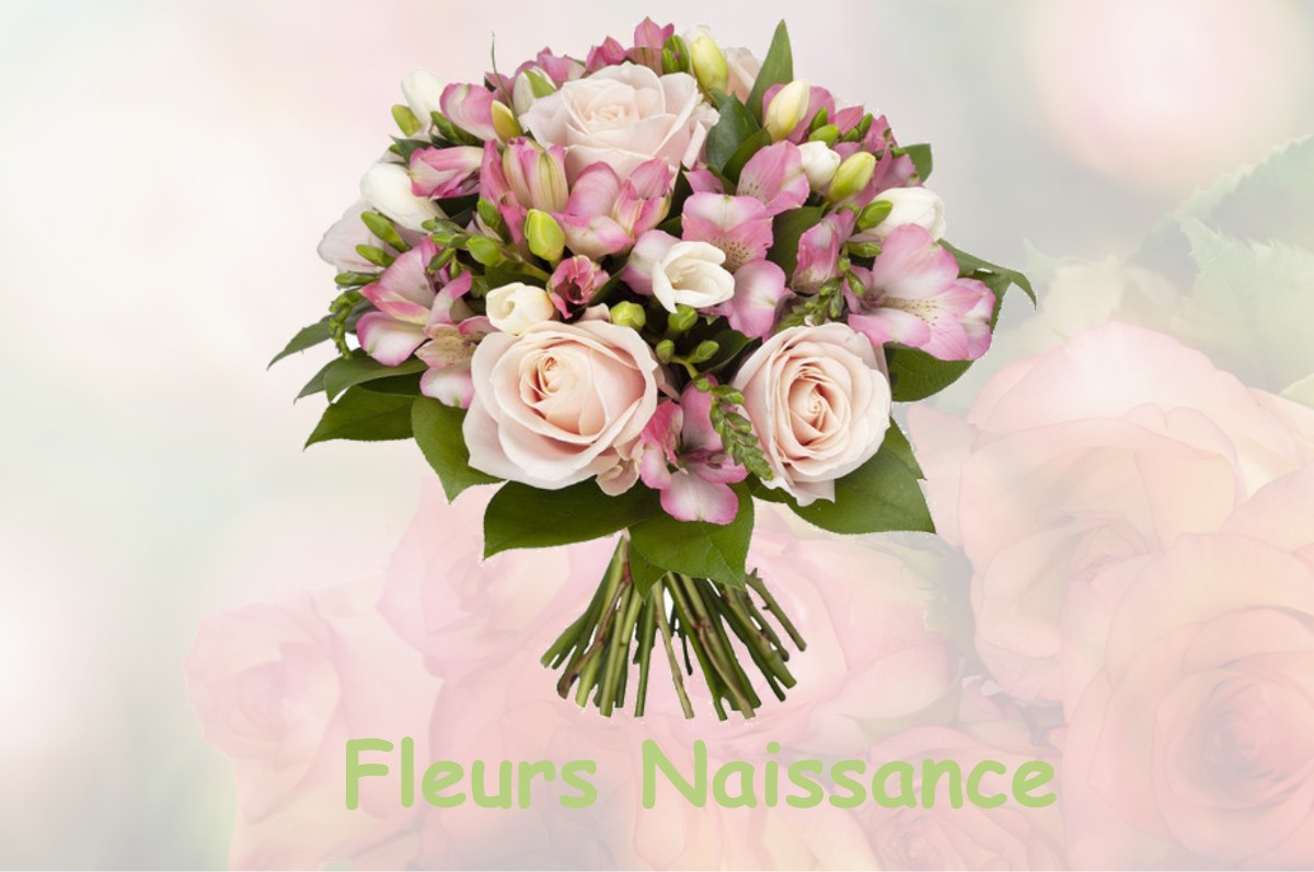 fleurs naissance LOUROUER-SAINT-LAURENT